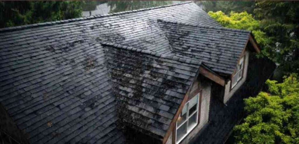 How to Stop Roof Leaks Fast and Prevent Damage