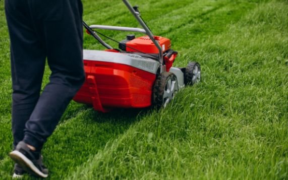 Lawn Renovation Maintenance