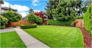 Hardscaping ideas for backyard renovations