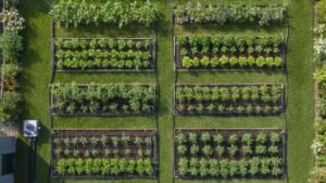 Step 1 Plan Your Garden Layout